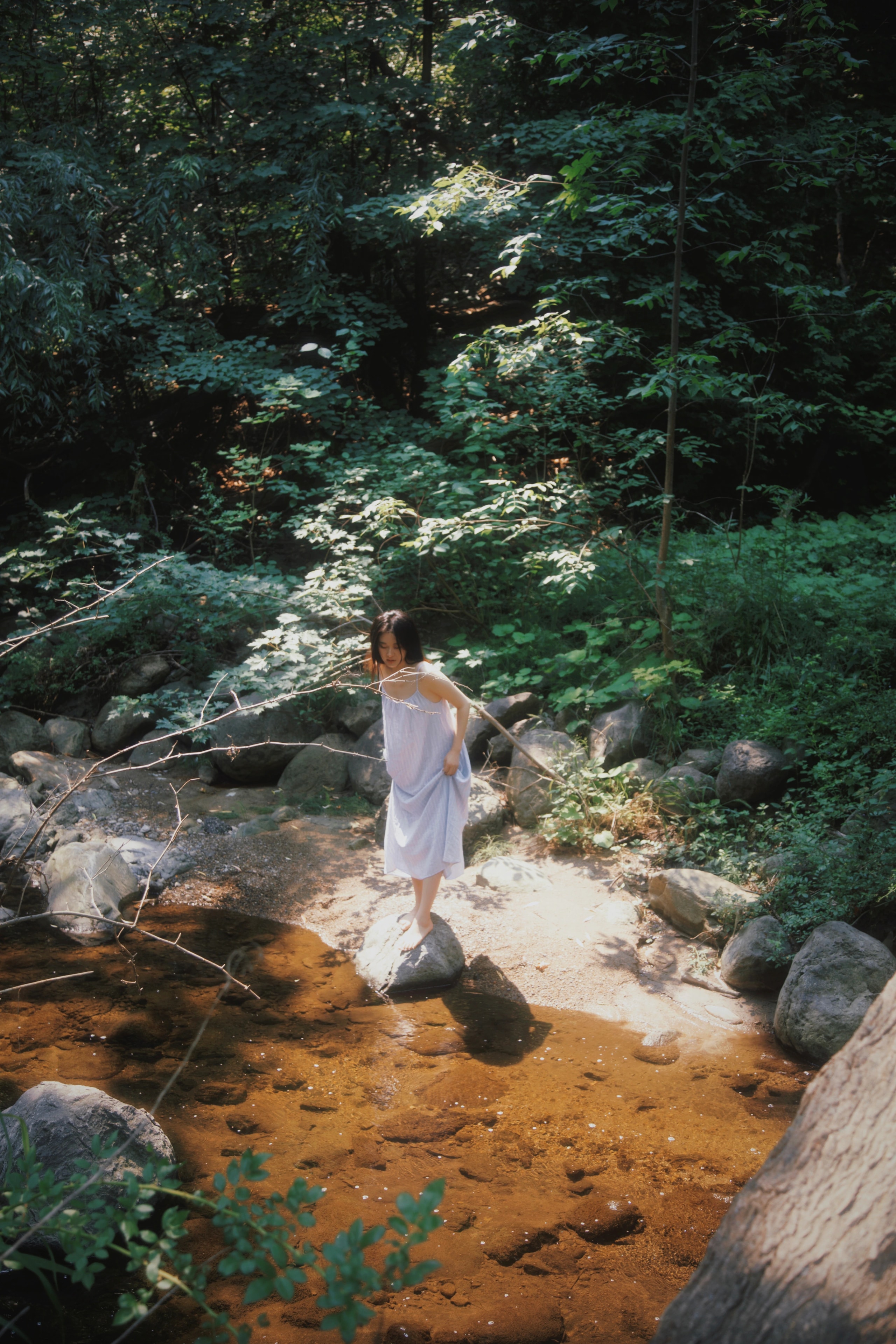 Summer Creek 夏日小溪 photograph 1