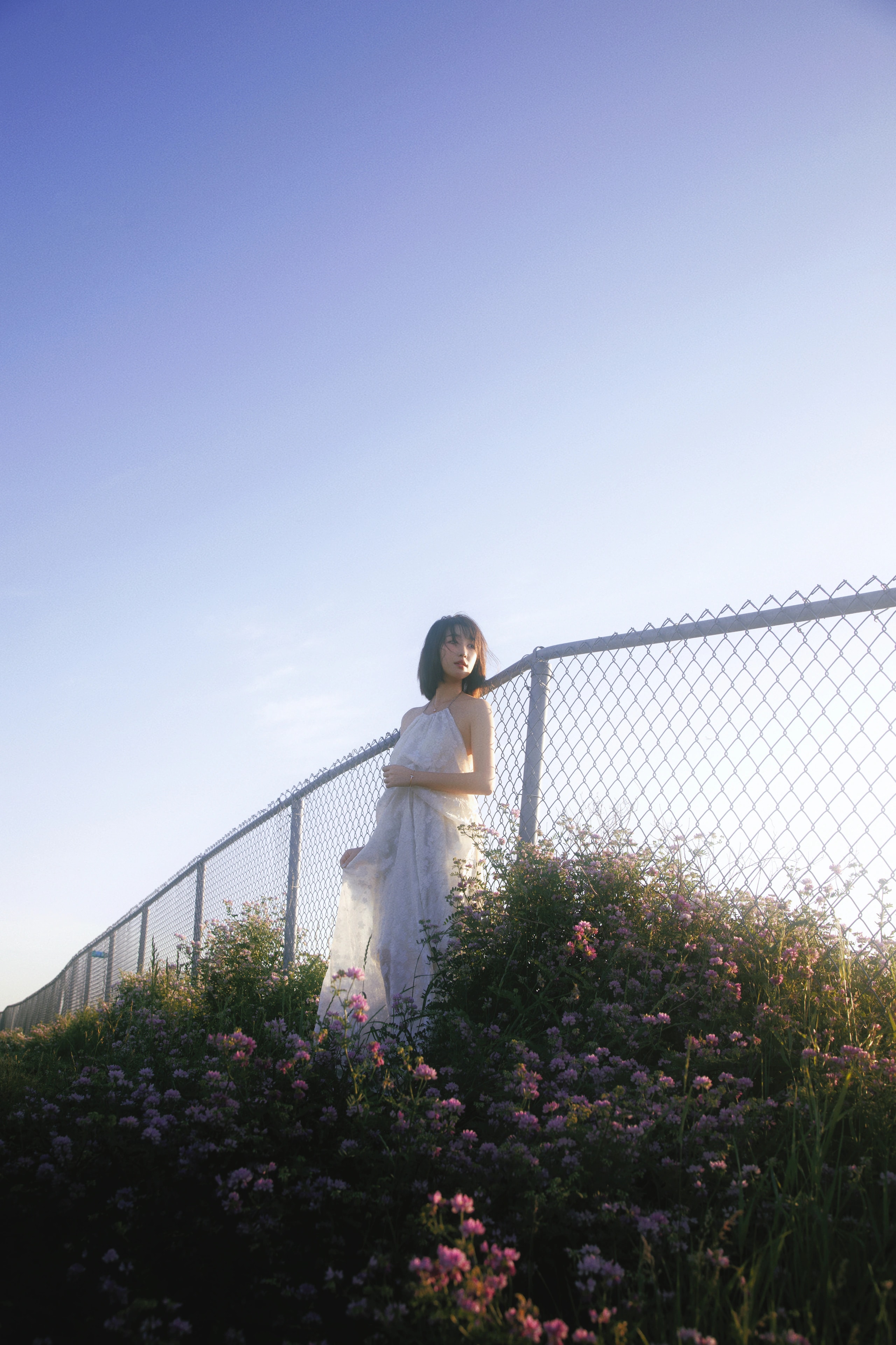 Hillside 户外山坡 photograph 1