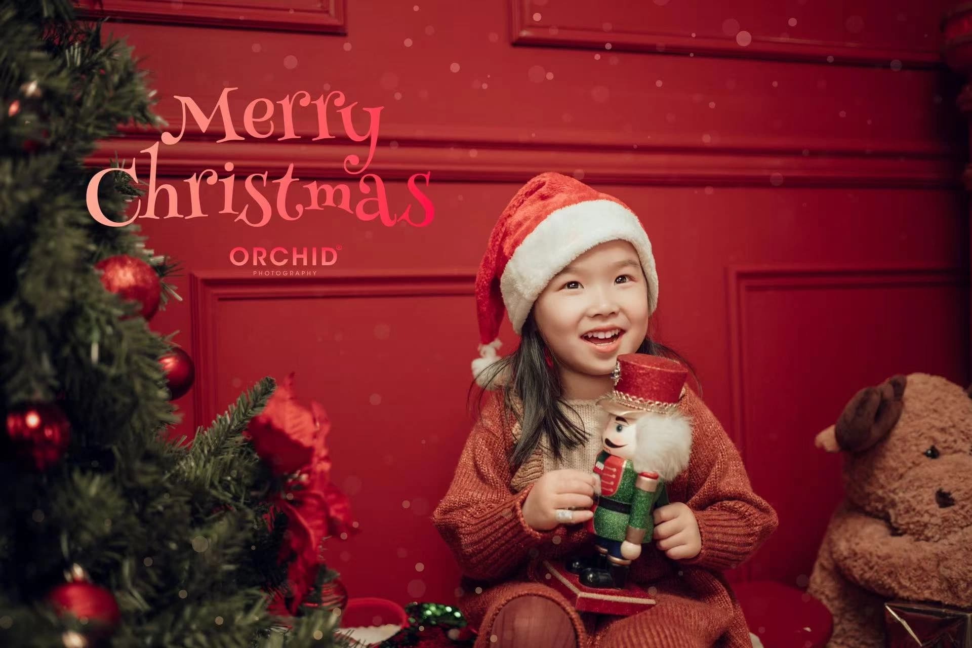 Christmas Wonder — Christmas photography at Orchid